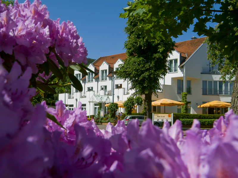 Sommer-Special