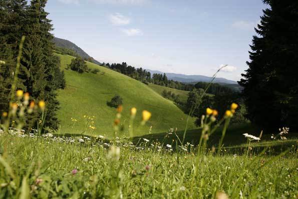 Brückentage in den AKZENT Hotels