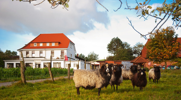 Neues AKZENT Hotels-Mitglied