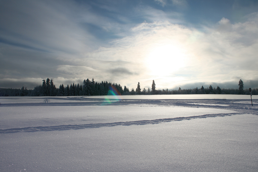 Winter im Harz
