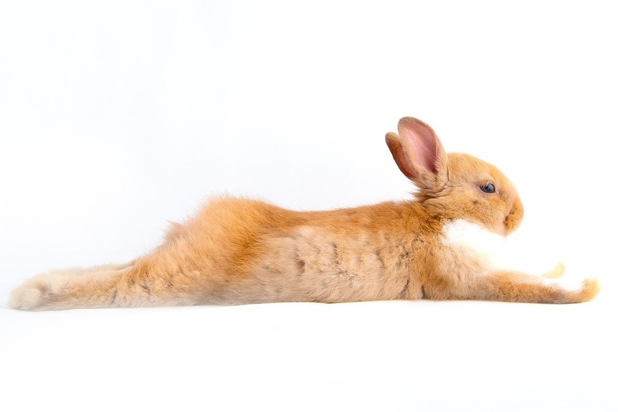 Ostern ist in fast einem Monat...