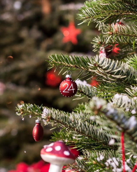 Frohe Weihnachten wünschen die AKZENT Hotels