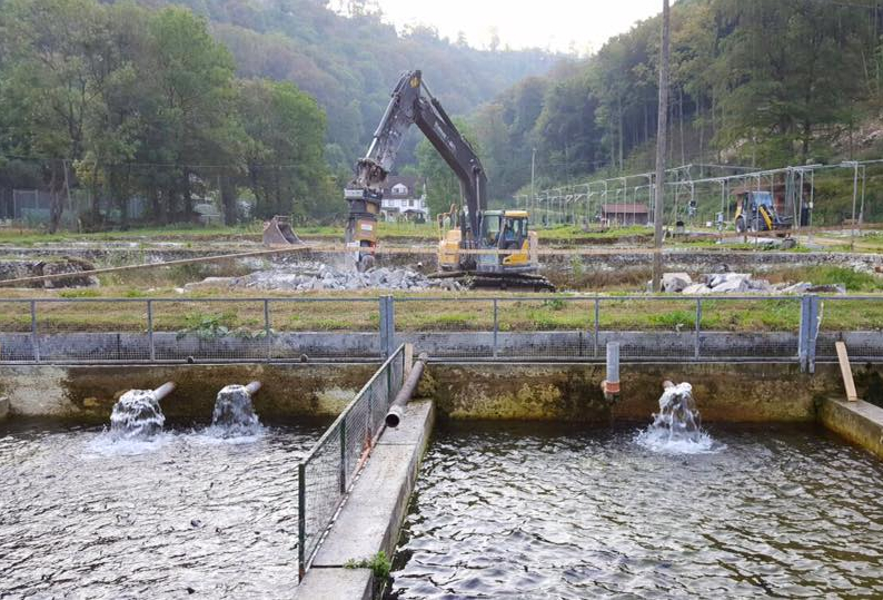 Umbau der Forellenzuchtanlage Honau