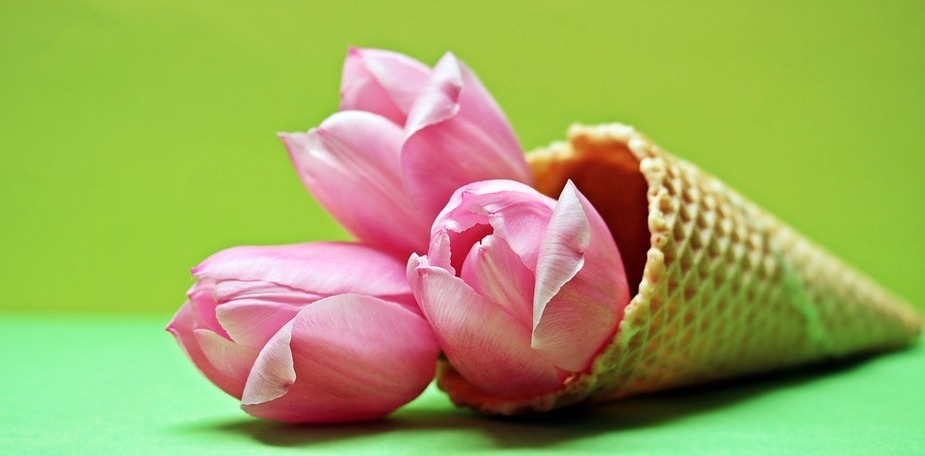 Hallo Frühling - schön, dass du da bist!