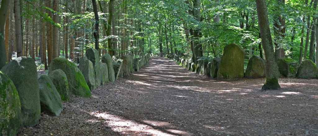 Sachsenhain