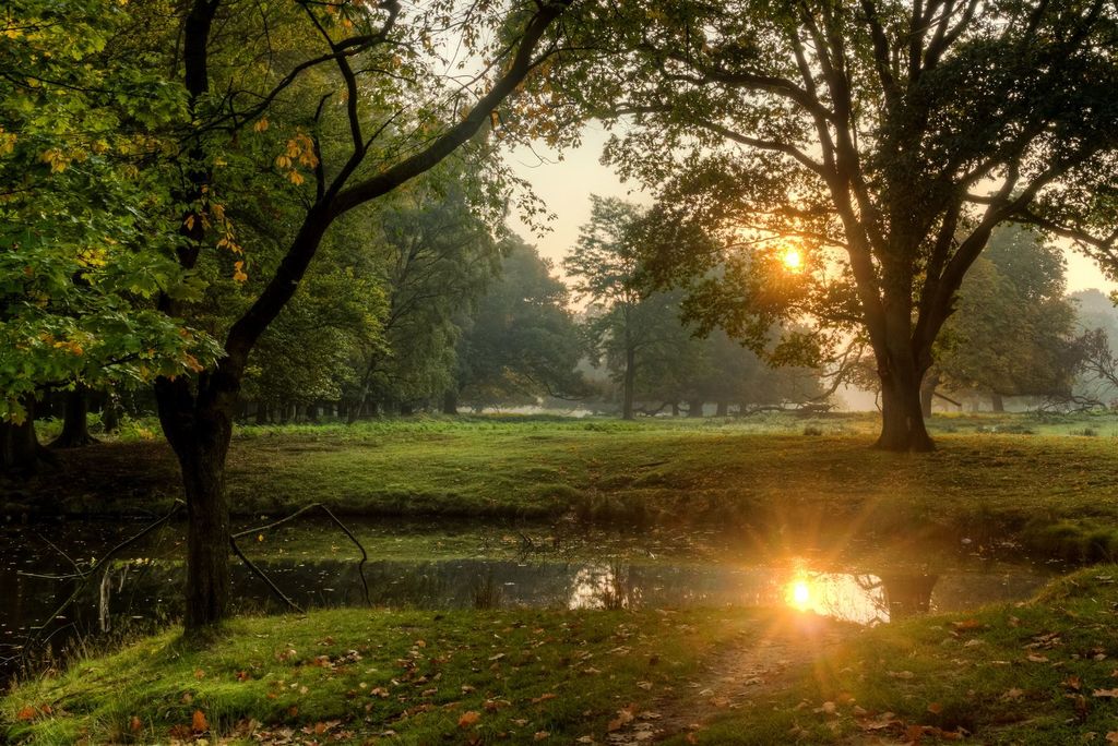 Naturwildpark Dülmen